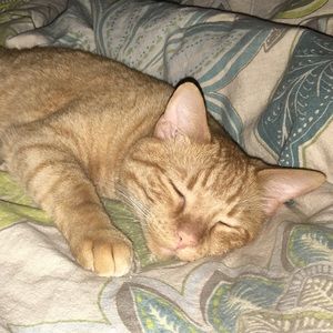 Meet your Posher, Cristi